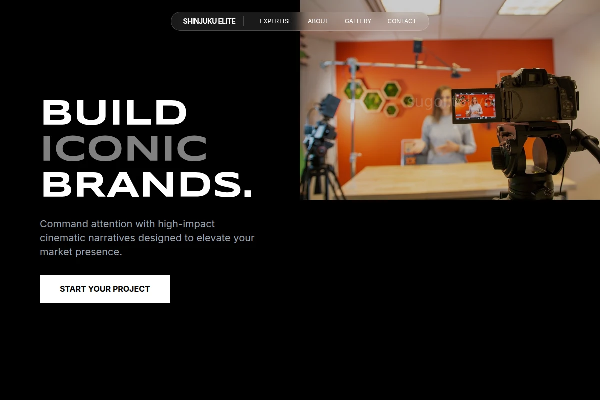 Vector Video Production