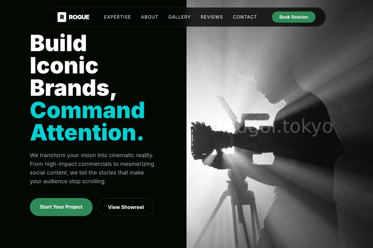 Rogue Video Production